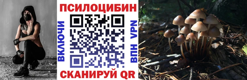 Галлюциногенные грибы Magic Shrooms  купить наркотики цена  сайты даркнета состав  Ардатов 